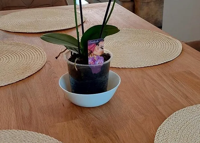 Baltic Seaside Sventojoje Vakantiehuis Palanga